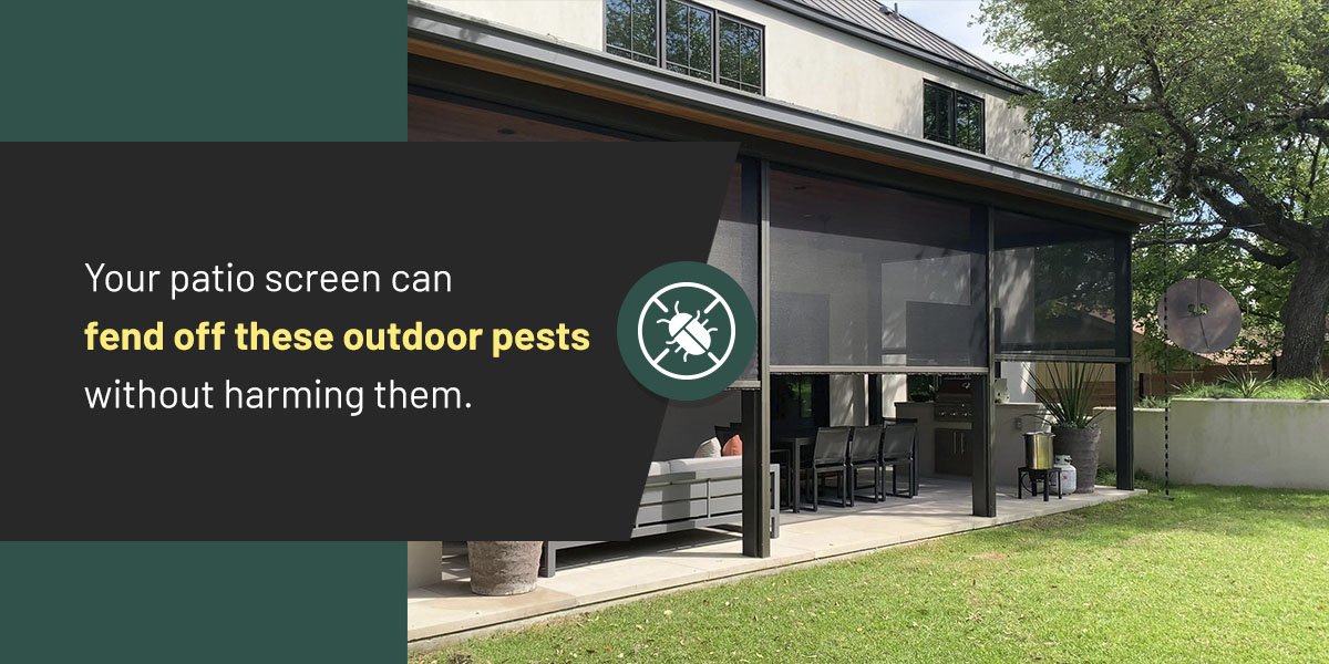 Deter Unwanted Pests